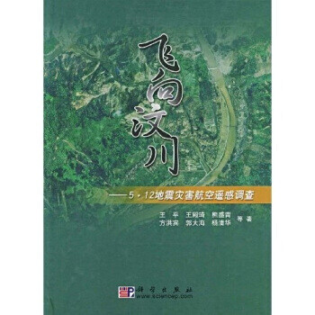 飛向汶川