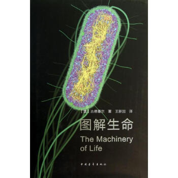 圖解生命