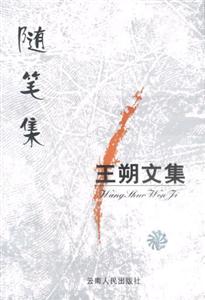 王朔文集隨筆集