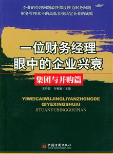 一位財務(wù)經(jīng)理眼中的企業(yè)興衰集團與并購篇 一位財務(wù)經(jīng)理眼中的企業(yè)興衰集團與并購篇