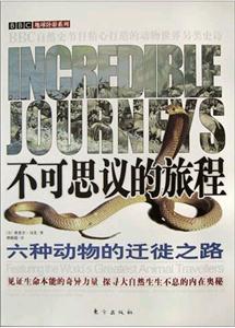 不可思議的旅程六種動物的遷徙之路