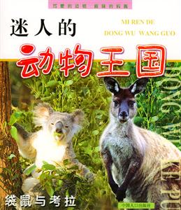 迷人的動物王國袋鼠與考拉