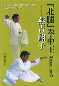 北腿拳中王:燕青翻子